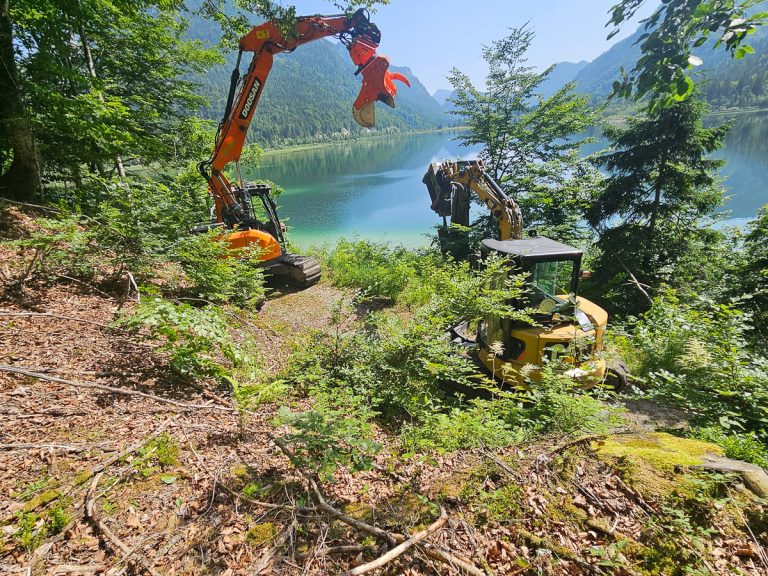 Cracker20250614_103755