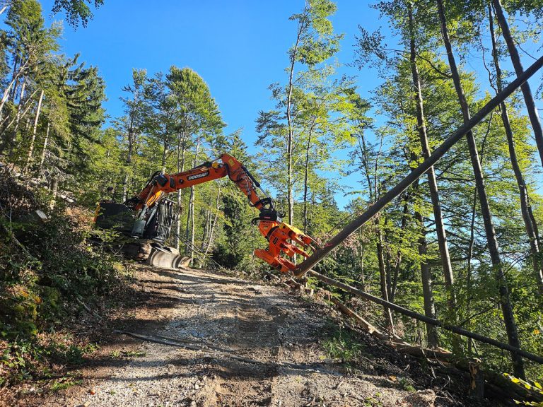 Cracker20250918_085439(0)