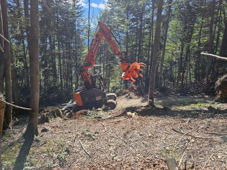 Cracker20250918_132022