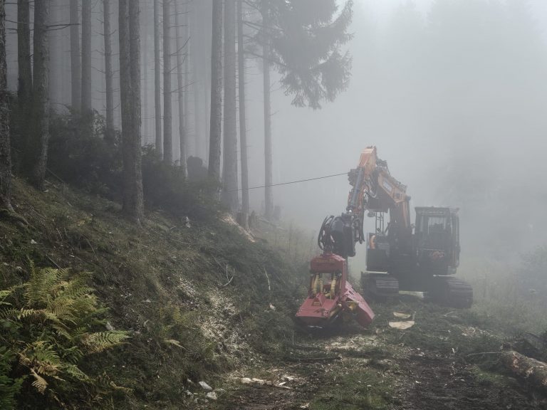 PHOTO-2026-01-08-11-15-10