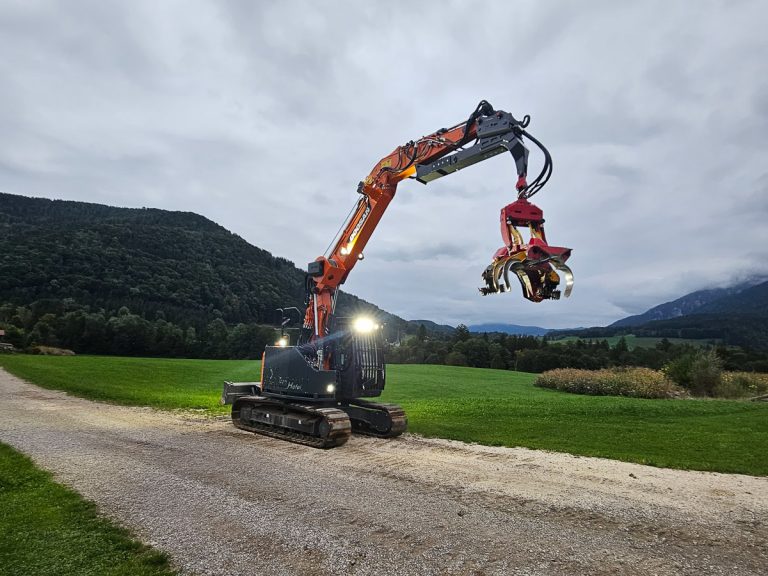 Woody20250913_191100