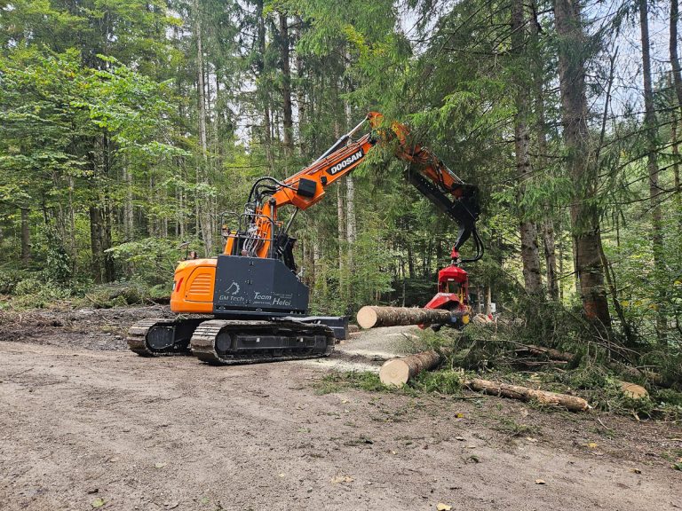 Woody20250926_151538