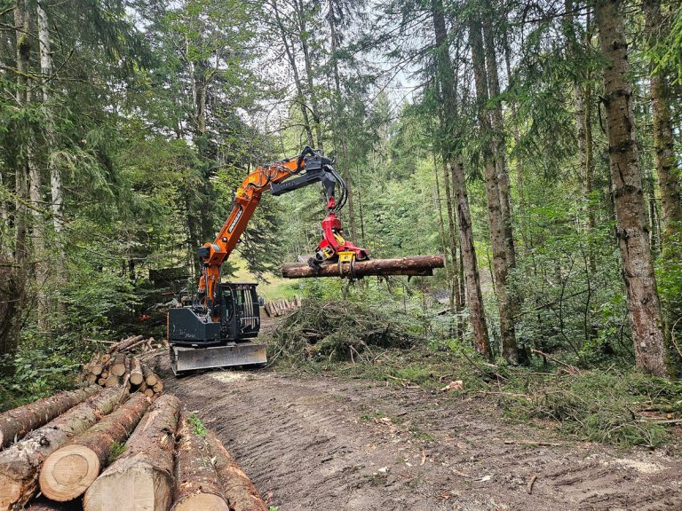 Woody20250926_170808