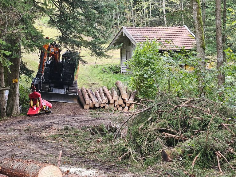 Woody20250926_171418