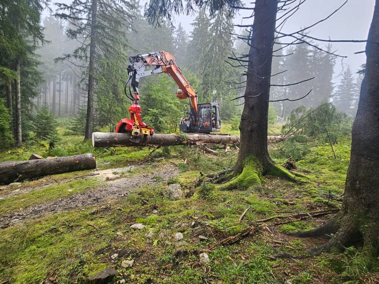 Woody20251010_085256(0)