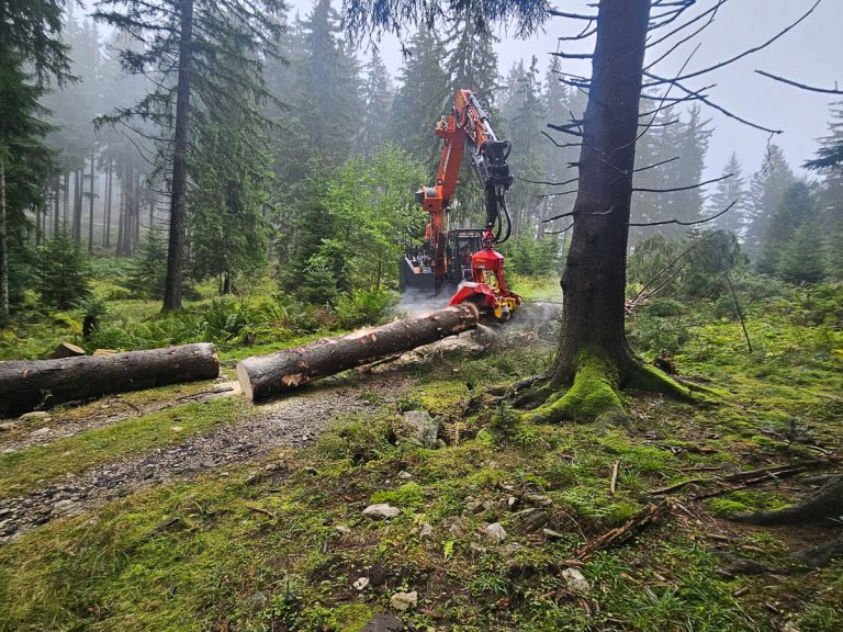 Woody20251010_085337