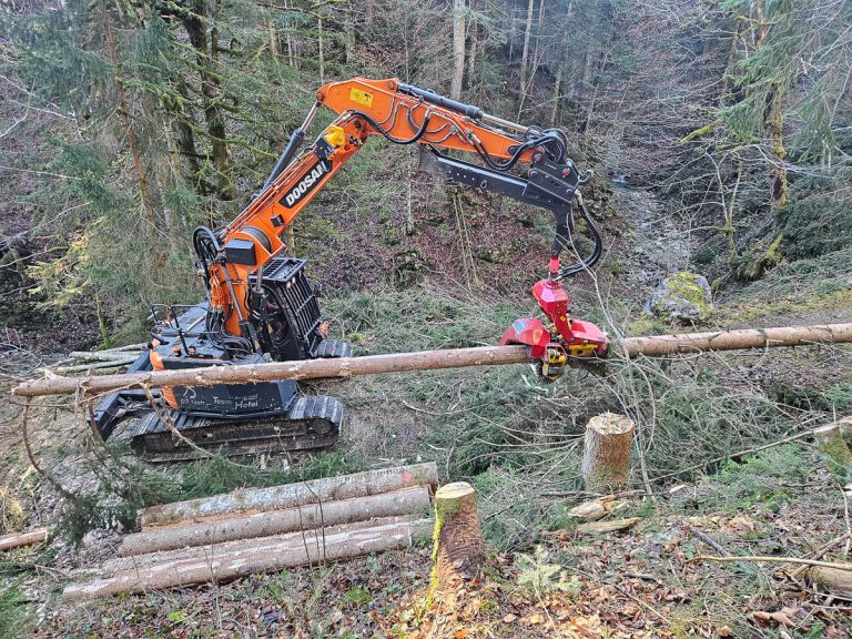 Woody20251107_104552