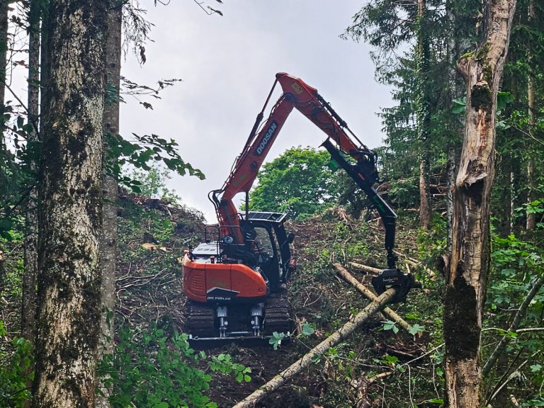 Zange20250704_143125